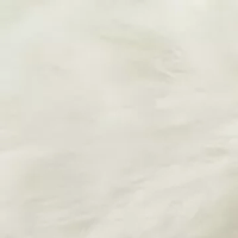 Faux Fur Cross Slide Slippers