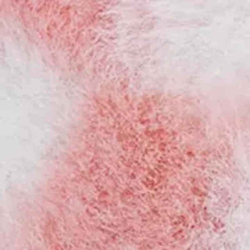 Women's Kendlie Closed Toe Slippers