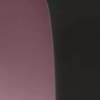 Modern Bold Square Sunglasses