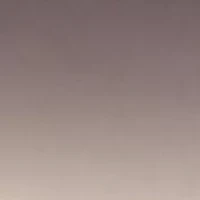 Rimless Shield Sunglasses with Logo Medallion 