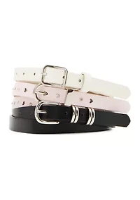 3 for 1 Belt