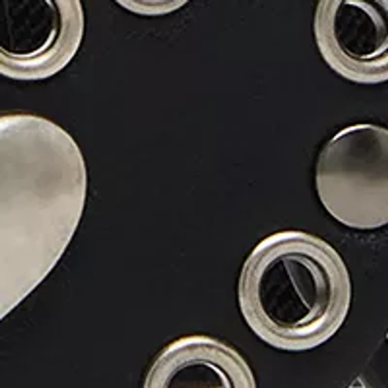 Heart Disc Belt