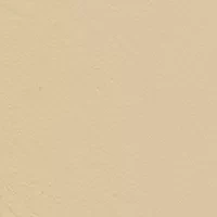 Western Pearl Hardware Belt