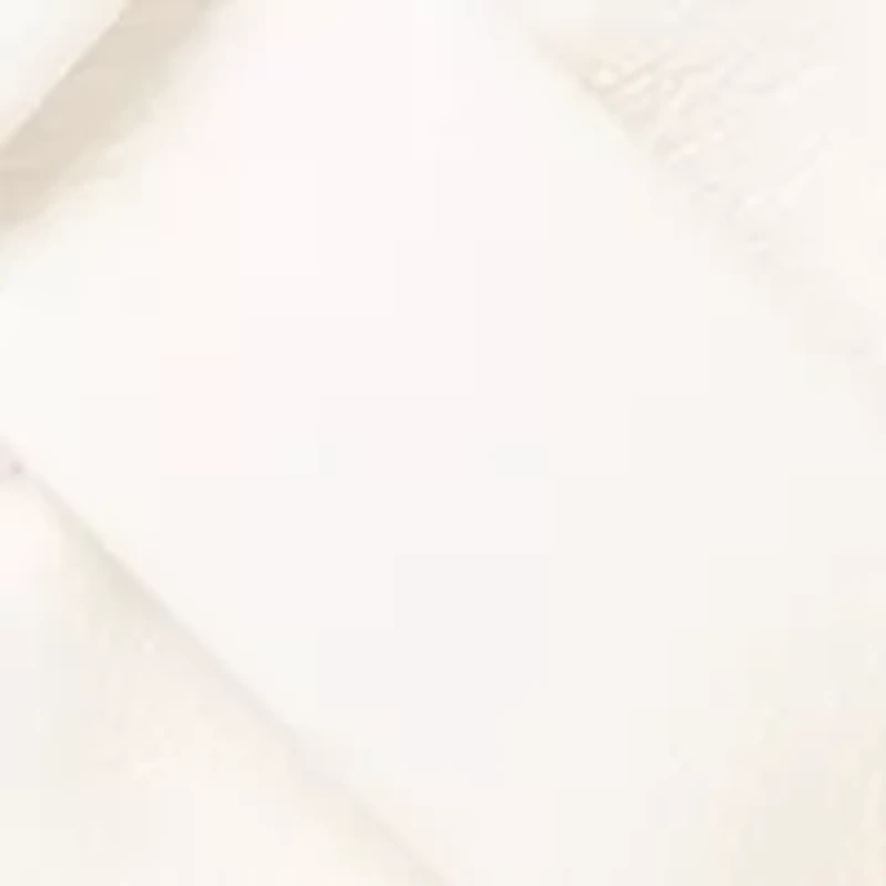 Heat Pleat Small Box Tote