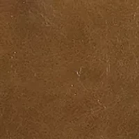 Farrah Vegan Fringe Satchel Bag