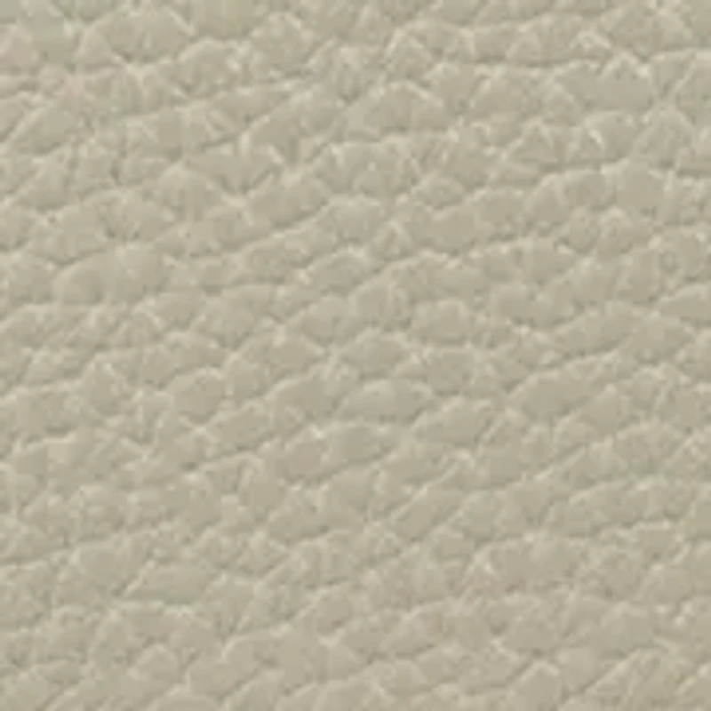Gianella Small Crossbody Asymmetrical Satchel