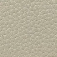 Gianella Small Crossbody Asymmetrical Satchel