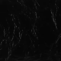 Onyx Belted Crackle Shoulder Bag