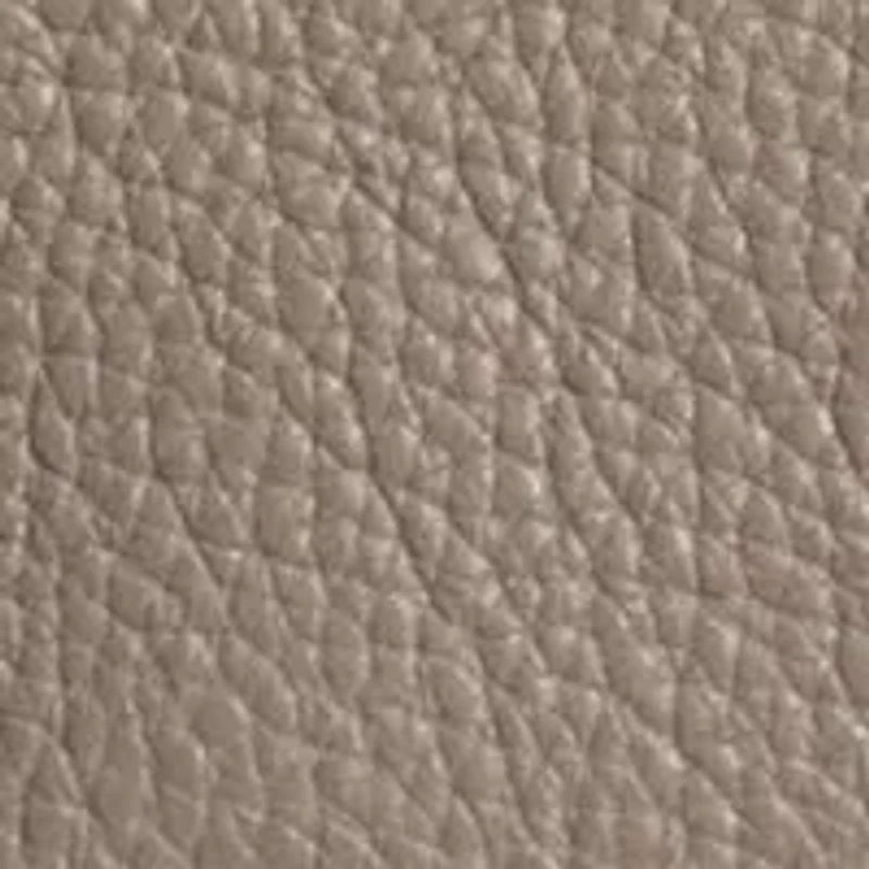 Sylvia Mini Crossbody Bag