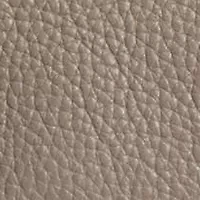 Sylvia Mini Crossbody Bag