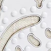 Willette Floral Dye Cut Shoulder Bag