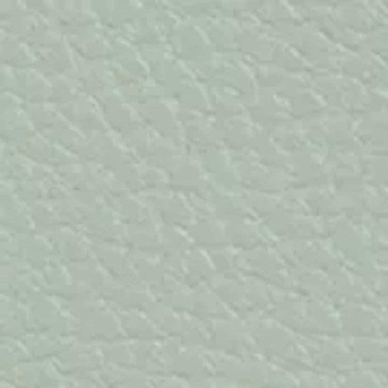 Sylvia Foldover Crossbody Bag