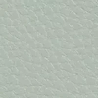 Sylvia Foldover Crossbody Bag