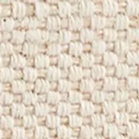 Paige Train Case Crossbody Canvas