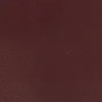 Small Crossbody Poppy Tote with Smooth Leather 