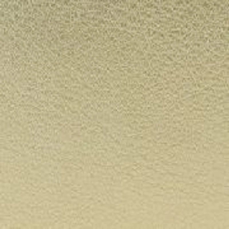 Loraine Chain Camera Bag