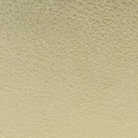 Loraine Chain Camera Bag