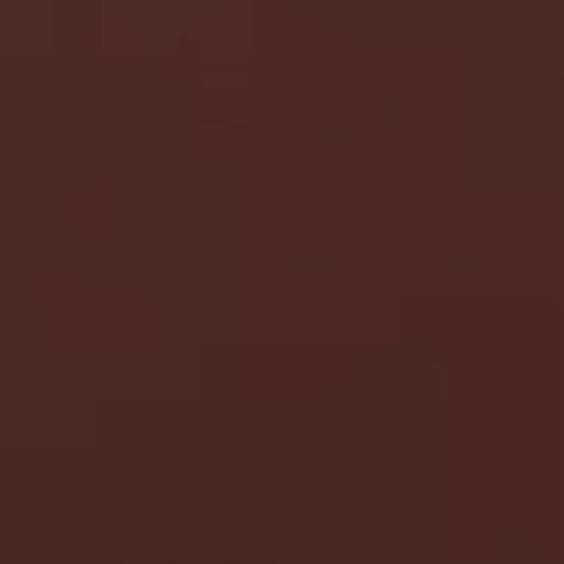 Loraine Chain Camera Bag