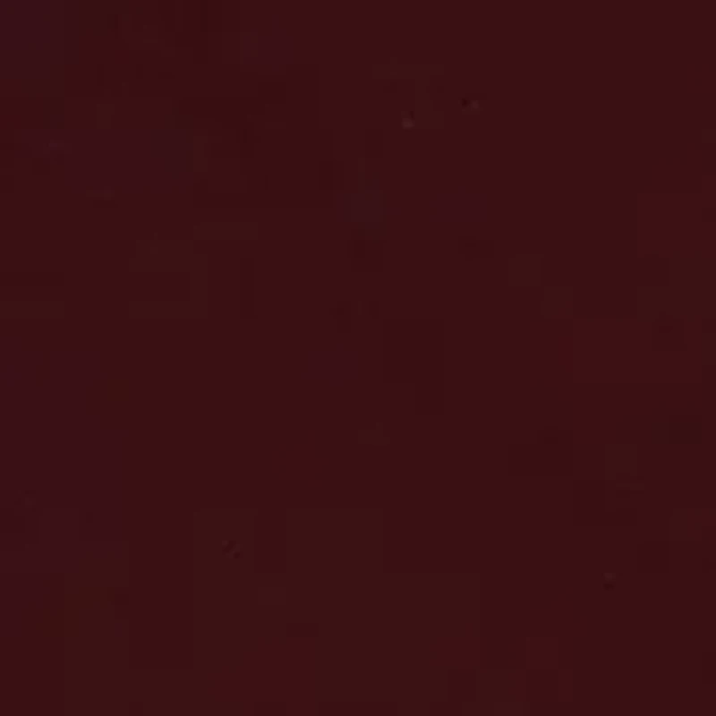 Card Holder - Holiday Boxed