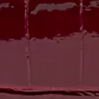 Loraine Bordeaux Crocodile Top Handle Crossbody Bag