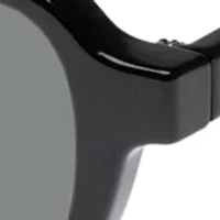Pilferer Sunglasses