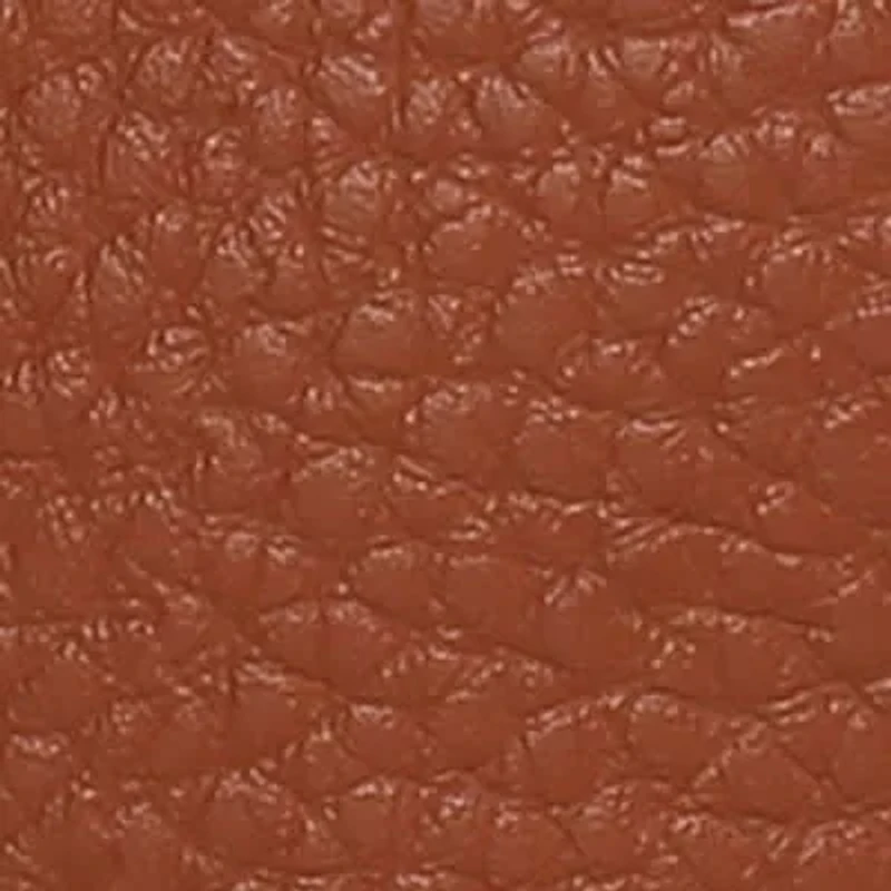 Filomena Vegan Leather Crossbody