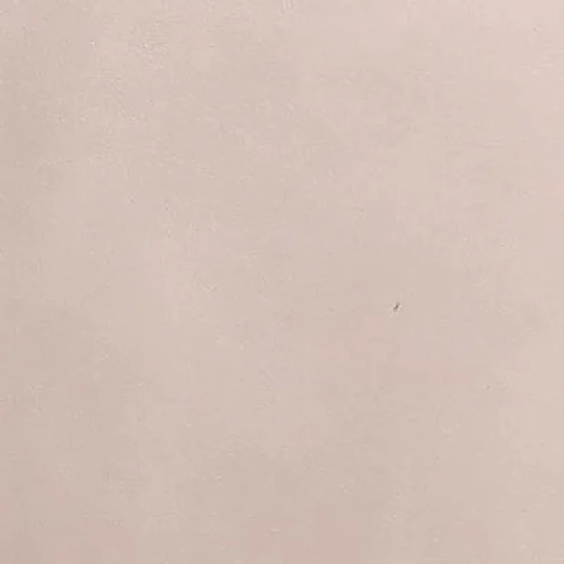 Danielle Tote and Crossbody