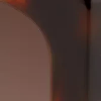 Tortoise Sunglasses