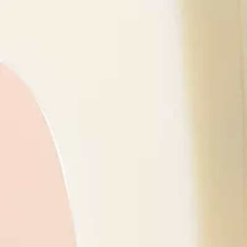 Eye Square Frame Butterfly Sunglasses