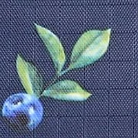 Blueberry Printed Zip Crossbody 