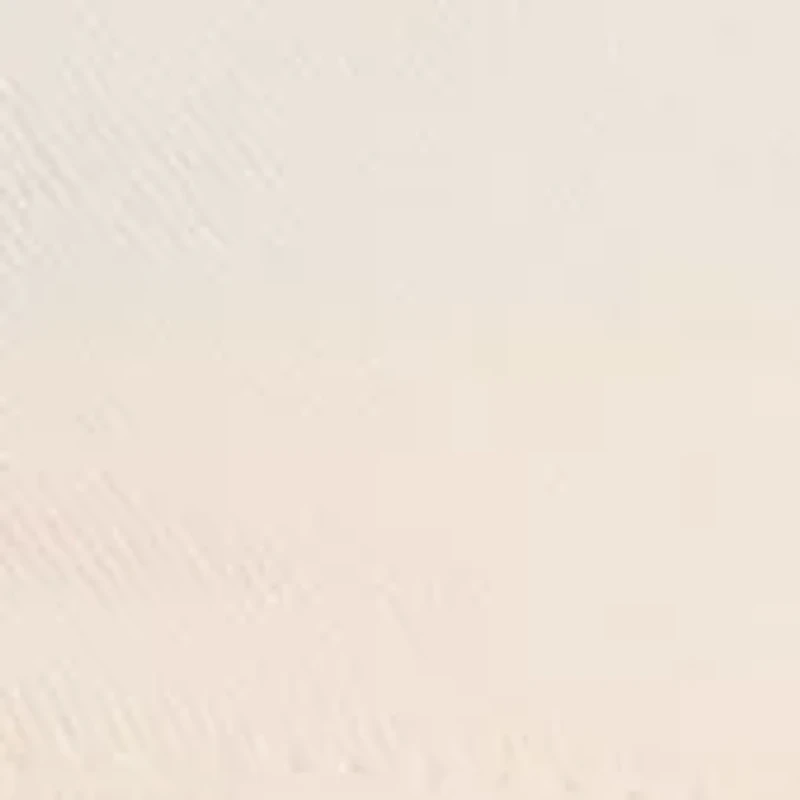 Sewing Down South x Crown & Ivy™ Sew Active Palm Tree Baseball Hat