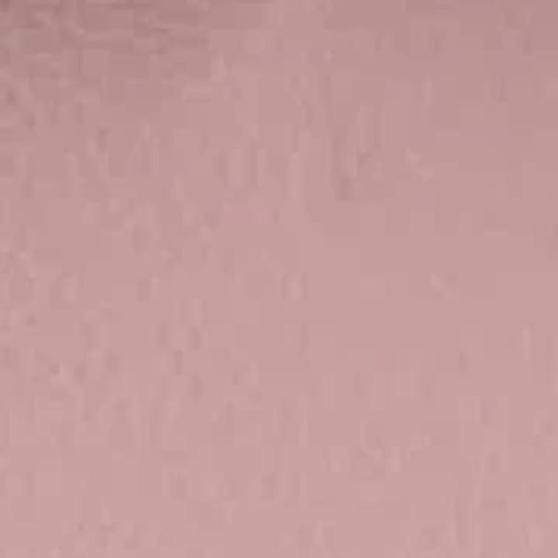 Royal Cross-Elegance Bow Satchel