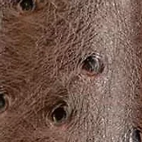 Remi Embossed Bow Satchel Bag