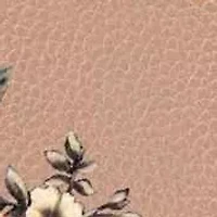 Violette Top Handle Satchel Bag