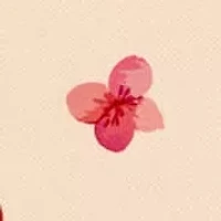 Cerise Top Handle Crossbody Bag