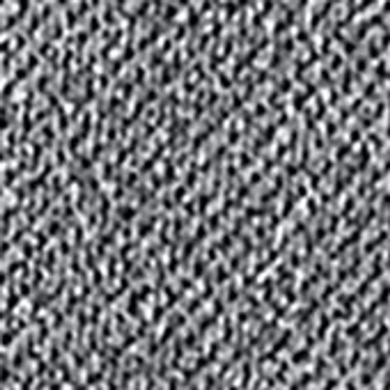 Boys B Blitzing Low STR