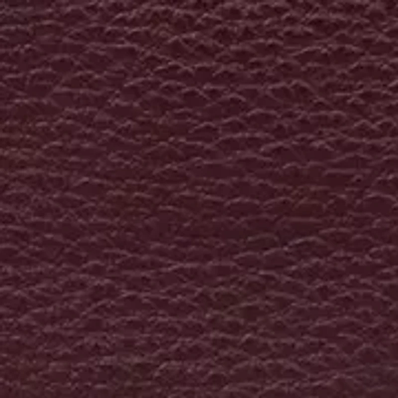 Sequoia Leather Hobo