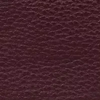 Sequoia Leather Hobo