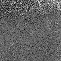 Lucia Leather Crossbody