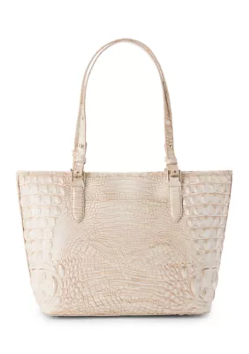 Medium Asher Tote Bag