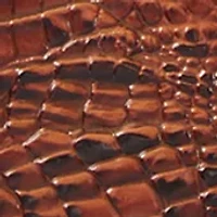 Finley Carryall Satchel