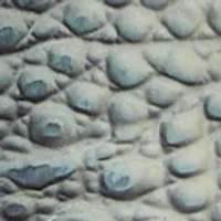 Suri Small Leather Bag