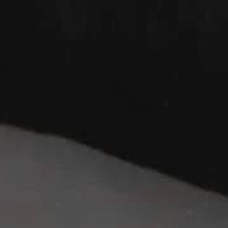 Rose Pointy Toe Dress Slingback Pumps