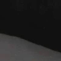 Rose Pointy Toe Dress Slingback Pumps