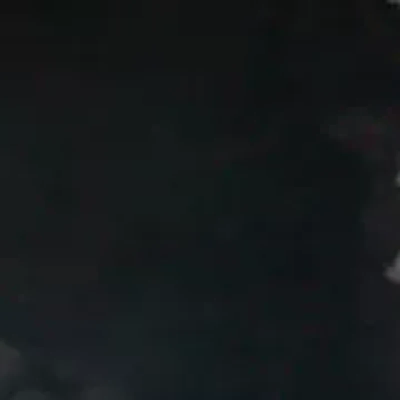 Lindio Bow Detail Block Heel Slip On Loafers