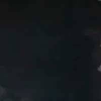 Lindio Bow Detail Block Heel Slip On Loafers