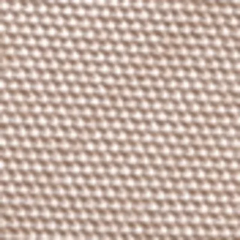 Riley Slingback Wedge Sandal