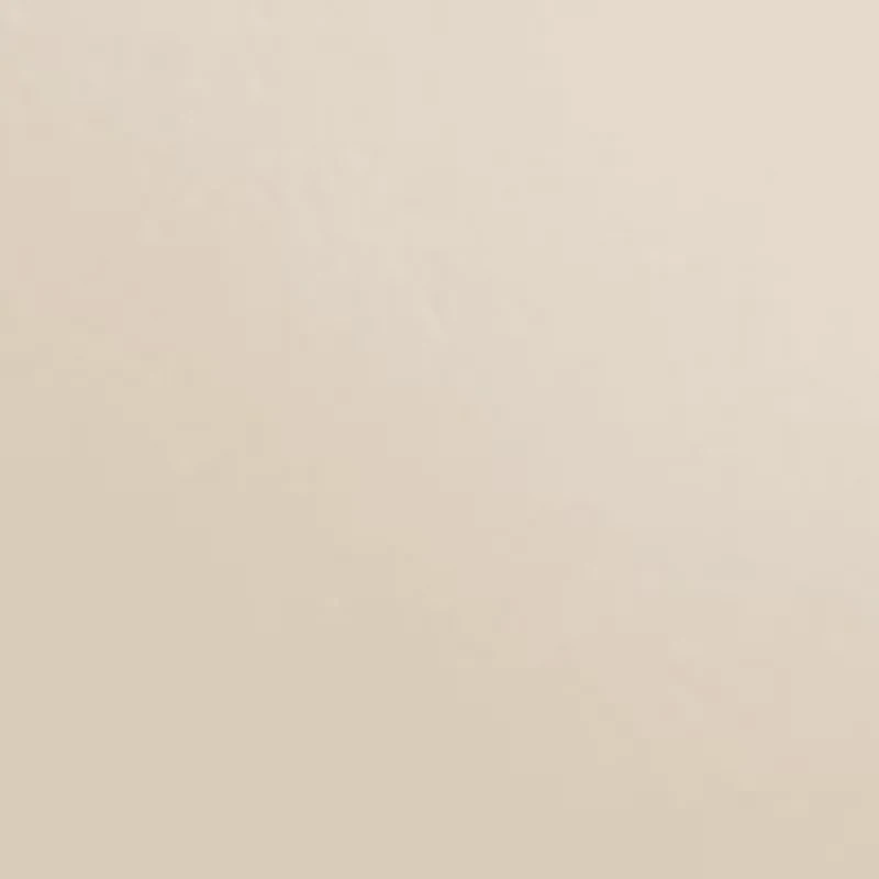 Marilyn Slingback Kitten Heel