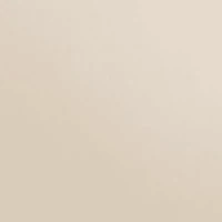 Marilyn Slingback Kitten Heel