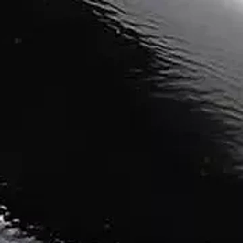 Beatrice Slingback Pumps